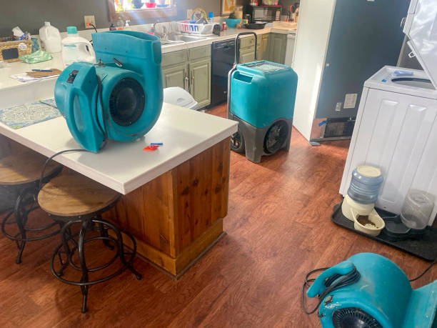 Best Professional water damage repair  in Gordo, AL