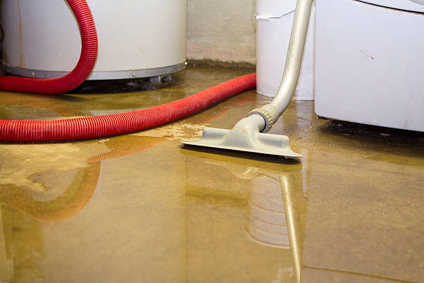 Best Commercial water damage restoration  in Gordo, AL