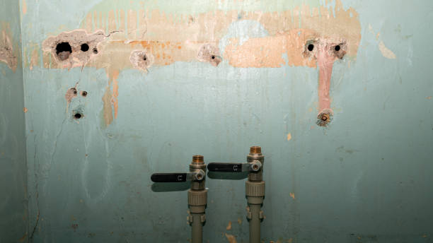 Best Fire Damage Restoration  in Gordo, AL