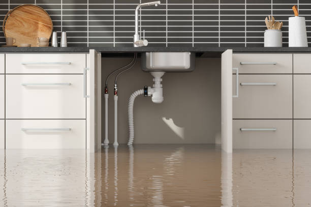 Best Local water damage restoration  in Gordo, AL