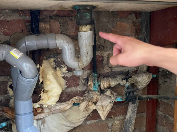 Best Water damage contractors near me  in Gordo, AL