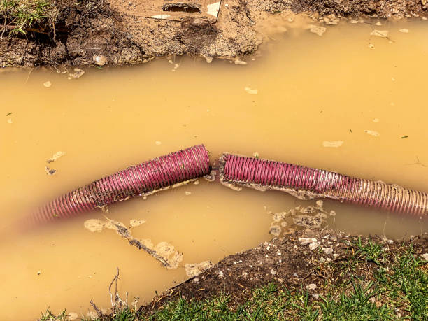 Best Water damage restoration near me  in Gordo, AL